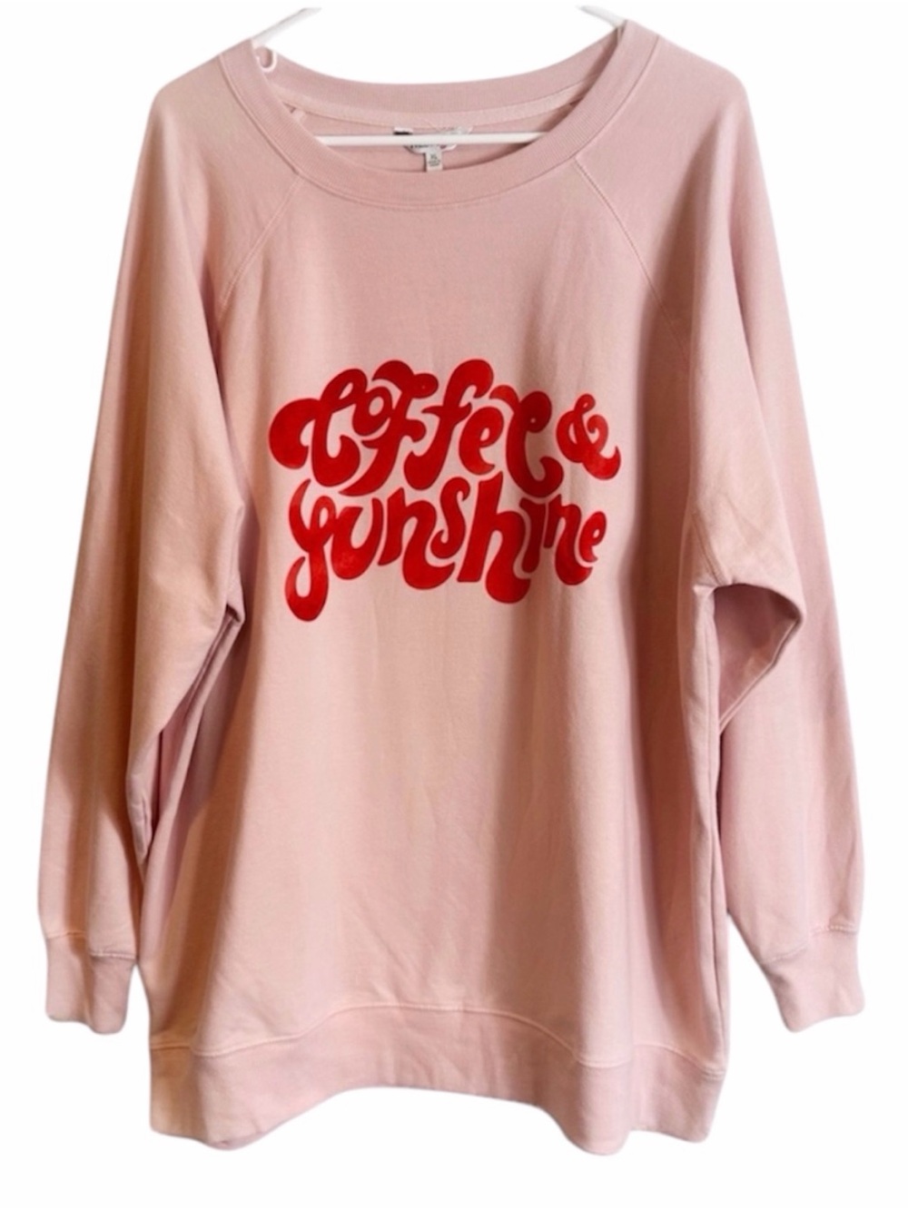Wildfox Pale Pink Coffee & Sunshine Pullover Sweatshirt